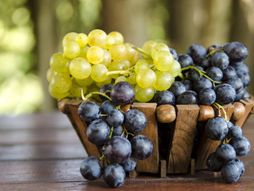 Grožđe