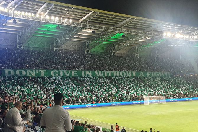 FK Makabi Haifa, navijači