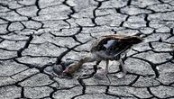 Komšije se spremaju za ozbiljno nevreme, temperature će drastično pasti: Najgore će biti duž Dunava?
