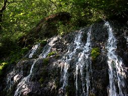 vrelo Lađevac, Nacionalni park Tara