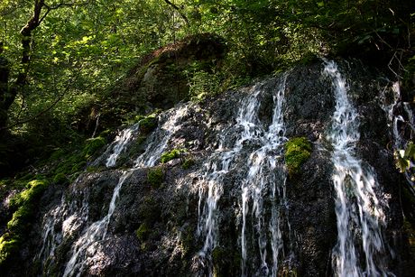 vrelo Lađevac, Nacionalni park Tara