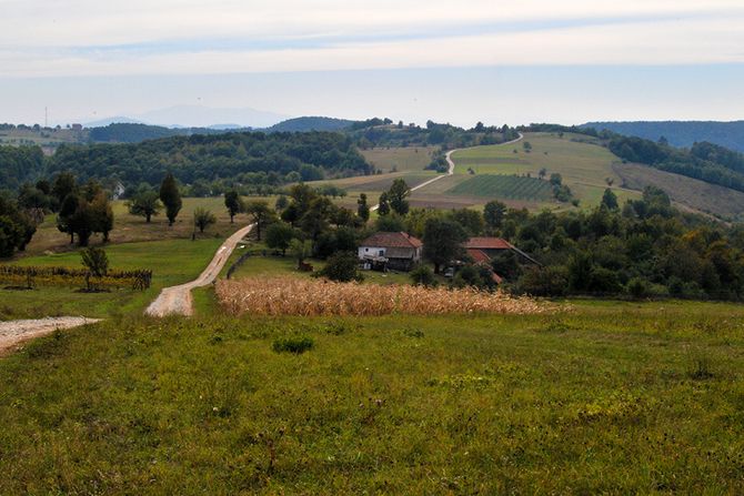 Miroč