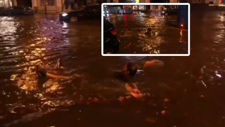 Novi Sad poplava ulica plivač