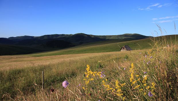 Rudine, Zlatibor