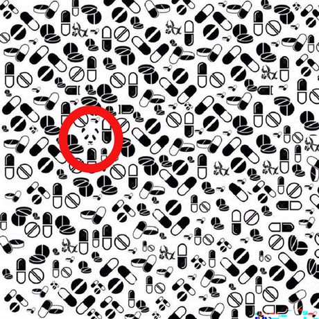 Opticka iluzija panda Opticka iluzija panda