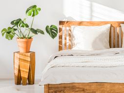 spavaca soba, sobna biljka, biljke