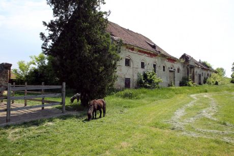 Kaštel Ečka Moja Jela