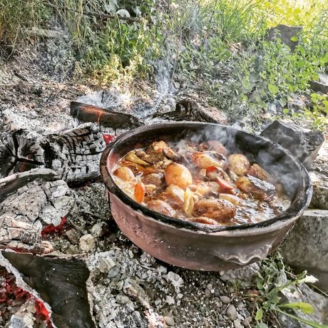 Manifestacija Mudrijada