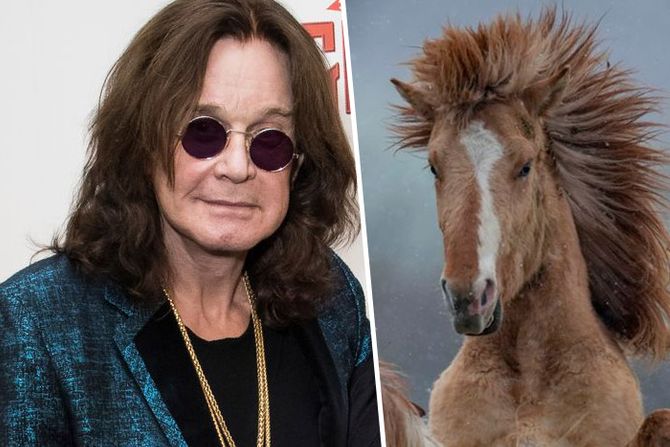 Ozzy Osbourne Konj