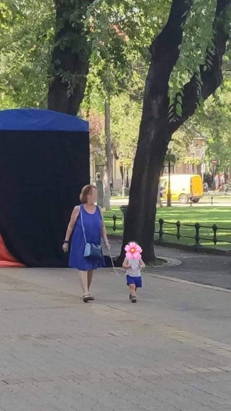 Žena šeta dete na povocu Žena šeta dete na povocu