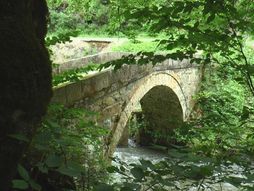 Lučni kameni most na reci Moravici izgrađen pre više od šest vekova planina Golija