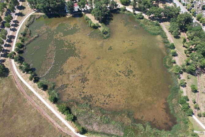 Jezero, srce, kragujevac