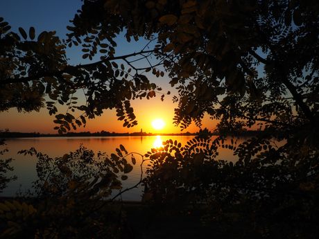 Palić jezero park zalazak Sunca Sunce