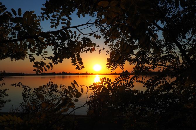 Palić jezero park zalazak Sunca Sunce