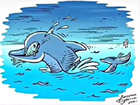 delfin opticka iluzija test