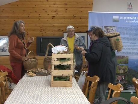 Dani vrganja na Kopaoniku