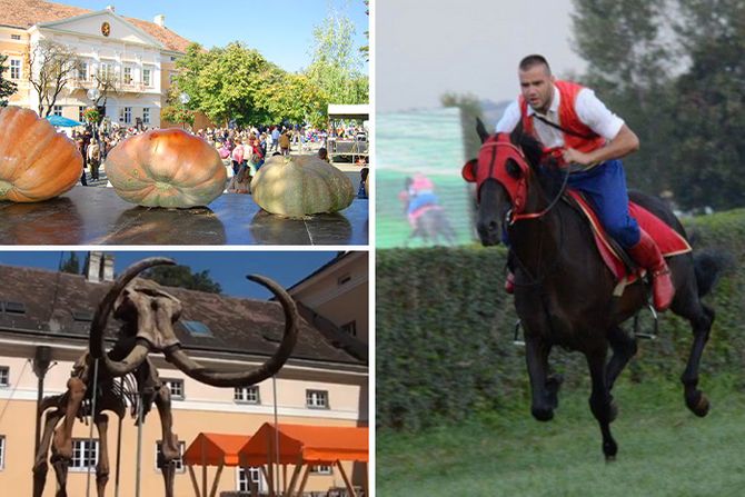 Manifestacije Konjičke igre, Mamut fest, Dani ludaje