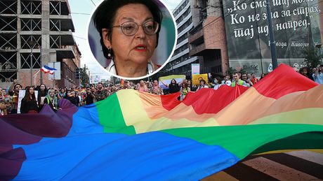 Gordana Čomić, gej parada, LGBT