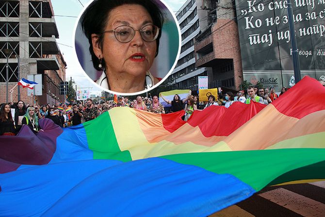 Gordana Čomić, gej parada, LGBT