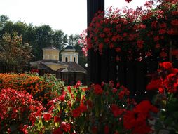 Goračići, Dragačevo