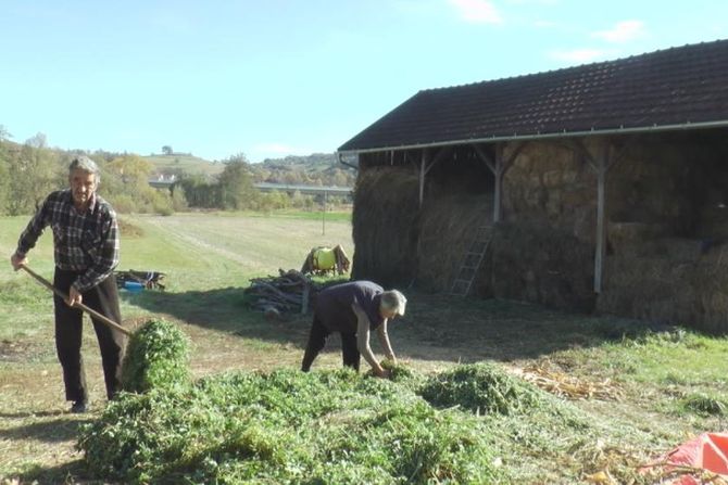 Nasleđivanje, žene