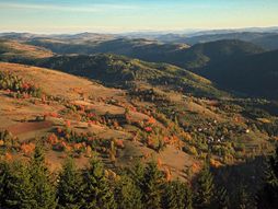 Jasenovo, Nova Varoš