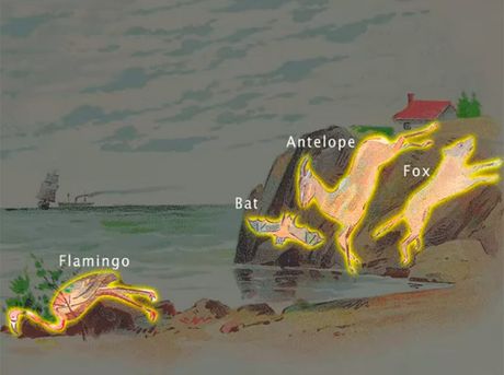 test pitalica kviz mozgalica