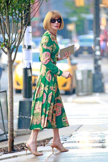 Anna Wintour, Ana Vintur Anna Wintour, Ana Vintur