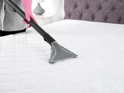 dusek ciscenje duseka