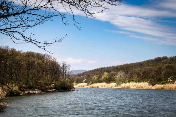 Jezero Šumarice