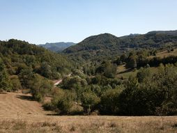 Rakita i Zvonačka Banja