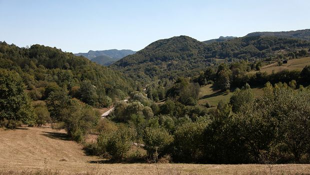 Rakita i Zvonačka Banja