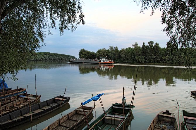 Bačko Petrovo Selo