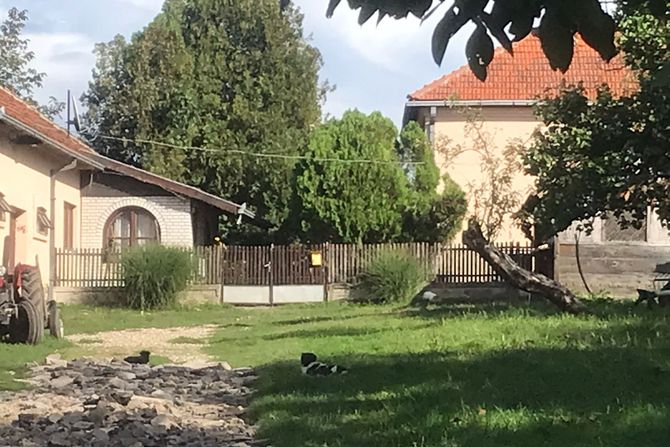 Čačak Bresnica trudnica pokušaj samoubistvo samoubistva kuća