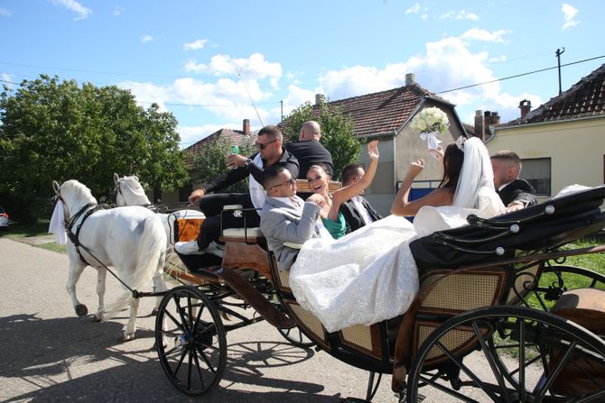 Mirko Šijan i Bojana Rodić, Svadba