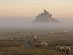 Mon Sen Mišel, Francuska