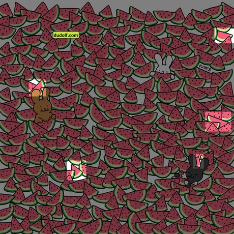 The Dudolf test iluzija