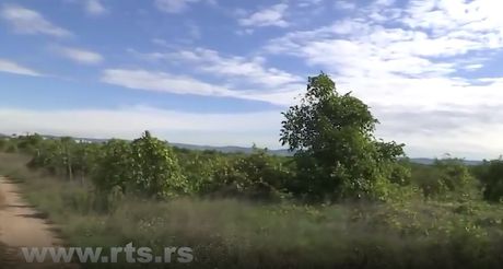 Ovde je pronađena mala Nina