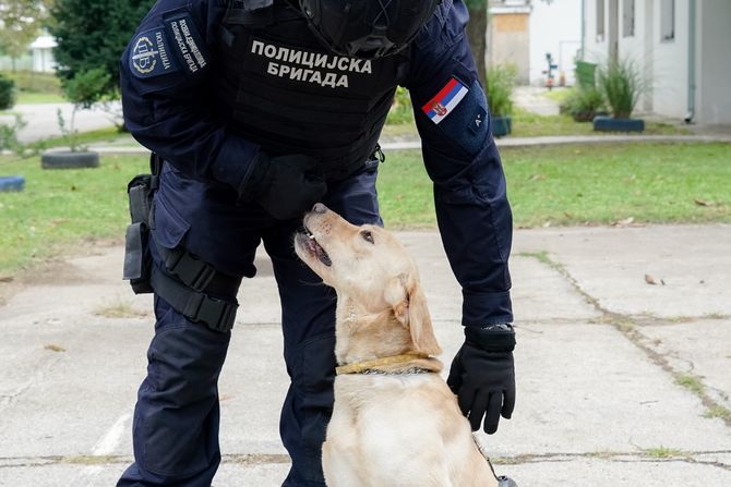 Kontradiverziona jedinica, Policijska brigada