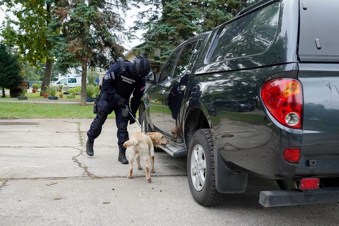 Kontradiverziona jedinica, Policijska brigada