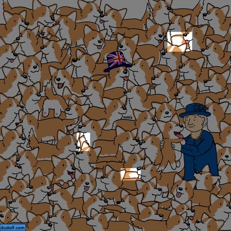 The Dudolf  test mozgalica optička iluzija