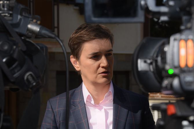 Ana Brnabić, Nikola Nedeljković