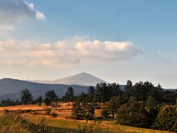 Mužinac, Šarbanovac, Rtanj