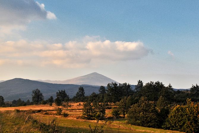 Mužinac, Šarbanovac, Rtanj