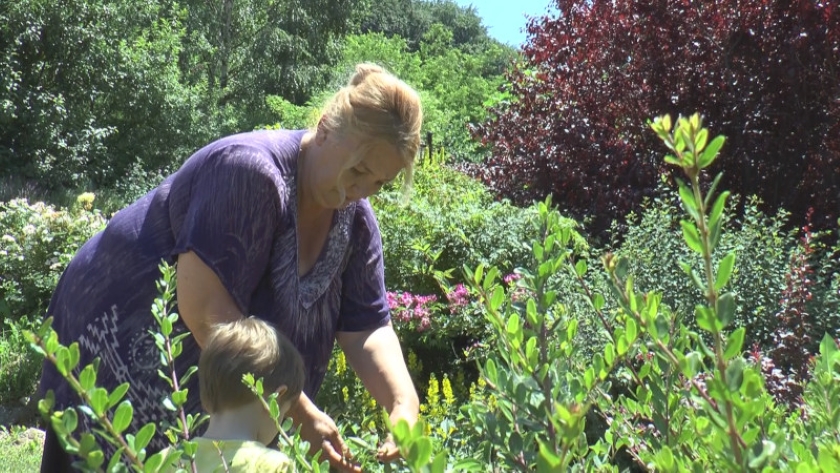 Ne morate više da zalivate baštu! Ovih 12 biljaka uspeva i u najtežim uslovima