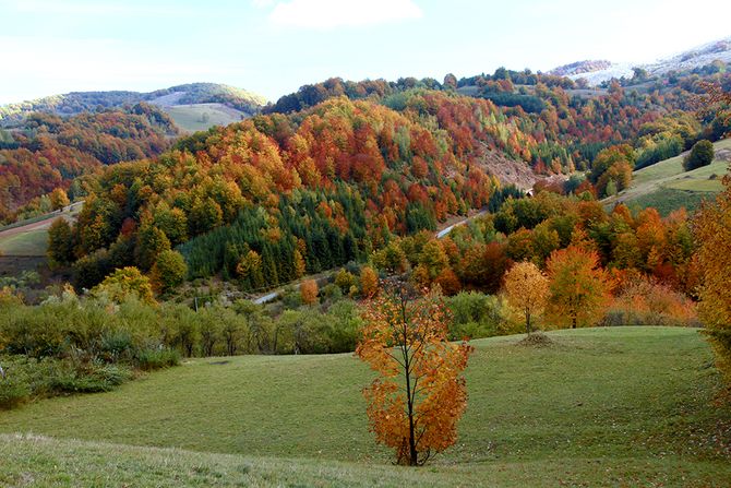 Kopaonik