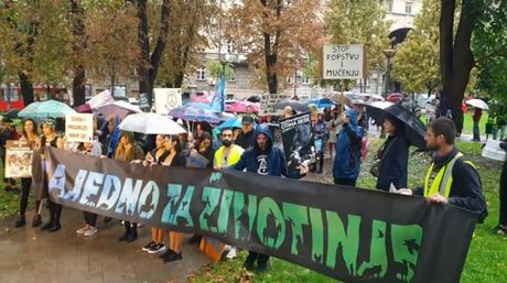 Prvi veliki marš za životinje u Beogradu