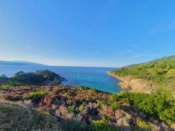 Ostrvo Skijatos, Sporadi, Grčka