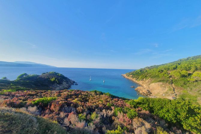 Ostrvo Skijatos, Sporadi, Grčka