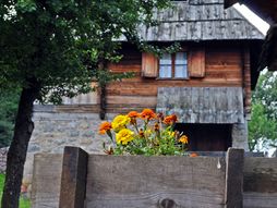 Staro selo Sirogojno, Zlatibor